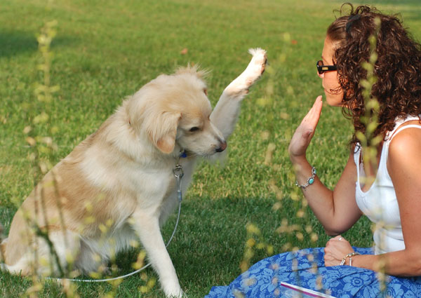 FREE picnic blanket from Advance Pet Nutrition