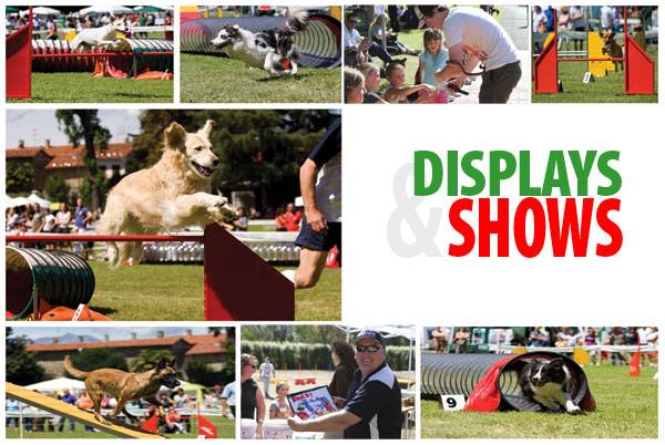 Check out the entertaining shows and demos at Carnival at the Vets 2012, including the fantastic Advance Dog Agility Team.